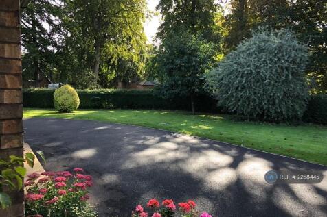 From Front Door Towards Park - Maintained Gardens