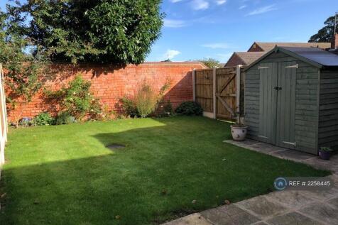 Back Garden/Patio