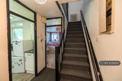 Downstairs Hallway/Entrance 