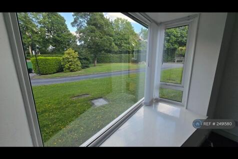Picture Window