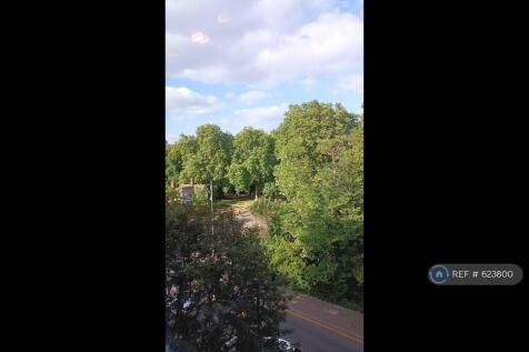 Battersea Park View
