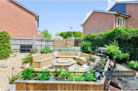 Back Garden
