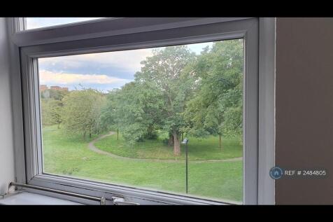 View Out Of The Window - Great Sunrises!