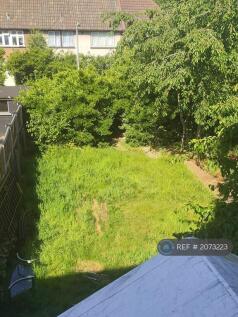 Back Garden Pic 1