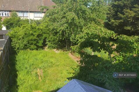 Back Garden Pic 2
