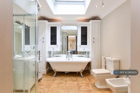 Bathroom Shower &#43; Bidet