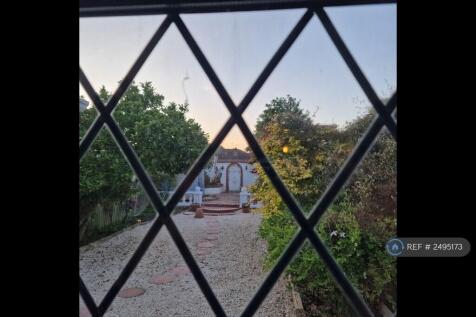 Garden View From Kitchen Window