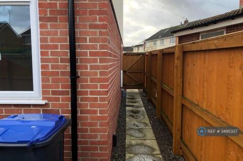 Back Garden2