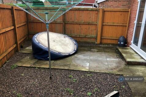 Back Garden3