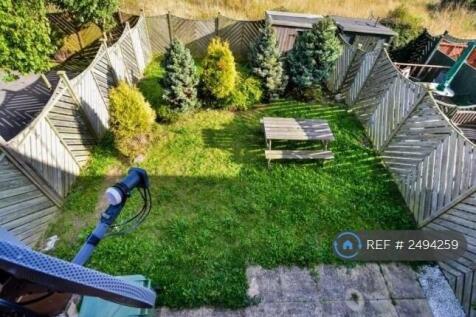 Garden Birds Eye