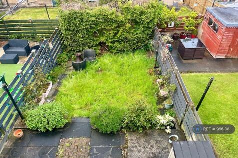 Back Garden