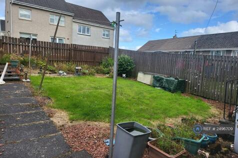 Back Garden