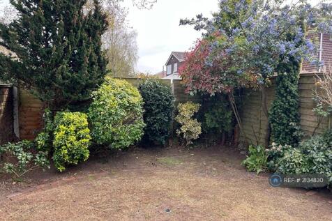 Lawn Area To Back Garden 
