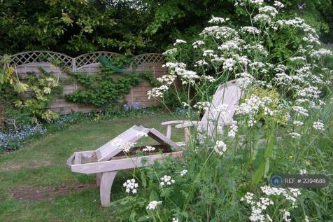 a Quiet Corner Of The Garden