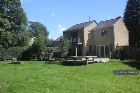 The Rear Garden