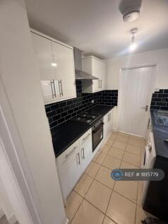 Modern Brand New Kitchen