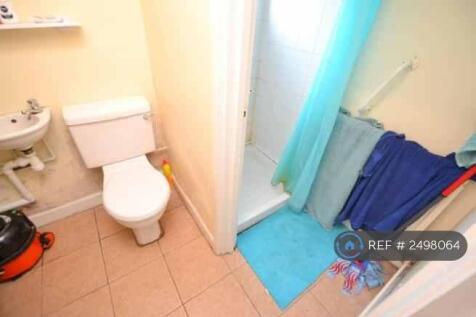 Downstairs Shower