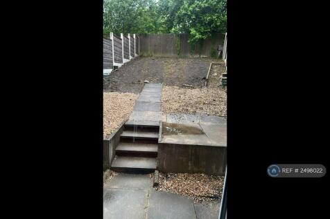 Back Garden