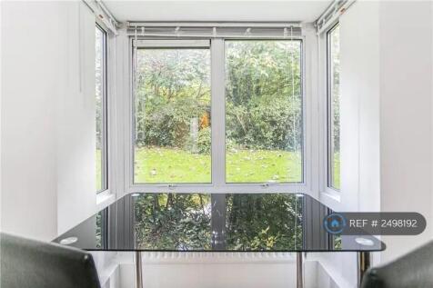 Living Room Window