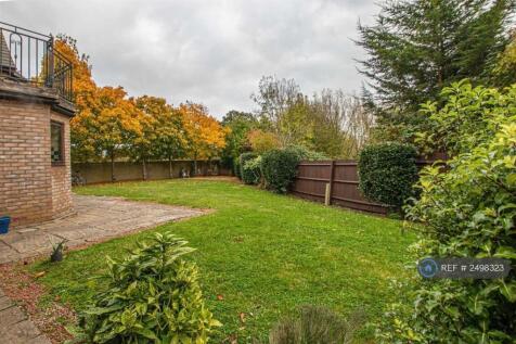 Property Image 13