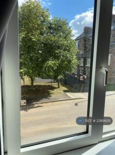 Window 