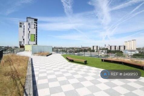 Roof Garden