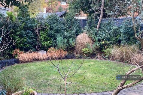 Back Garden 3