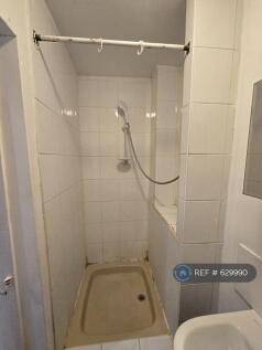 Downstairs Shower
