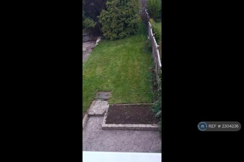 Back Garden