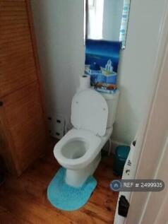 Downstairs Bathroom/Shower Room