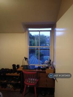 Lounge Window