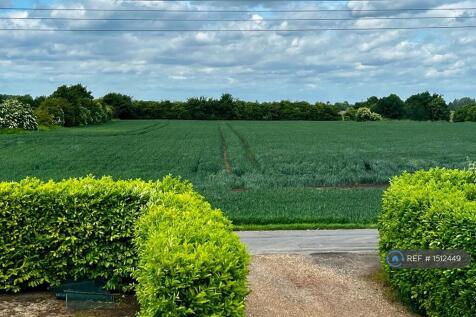 View From Master Bedroom