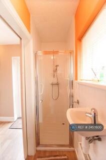 Downstairs Shower