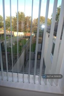 Bedroom Rear View