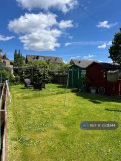 Shared Garden