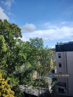 View From The Bedroom Windows