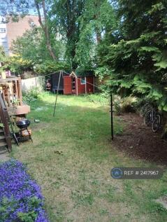 Sunny Shared Backgreen