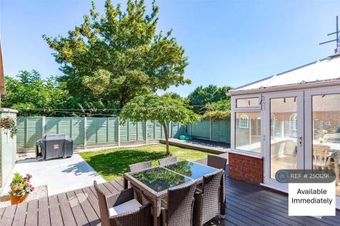 Back Garden