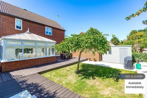Back Garden