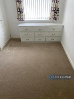 Main Bedroom New Carpet 