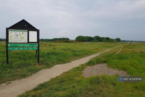 Epping Forest 5 Min Walk From The House