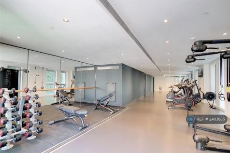 251 Gym
