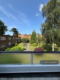 Garden From Balcony