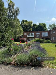 Looking Across Garden At Flat