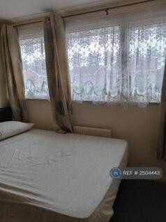 Back Bedroom