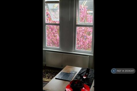 View Of Cherry Tree From Dining Room