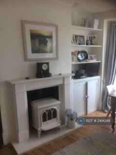 Dining Room Fireplace With Gasco Stove
