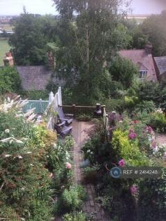 Garden View From Balcony