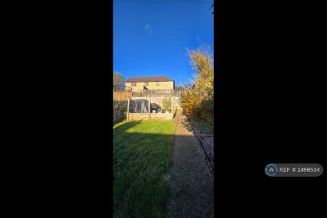 Back Garden