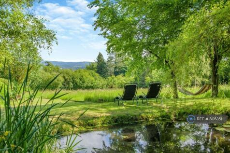 The Pond